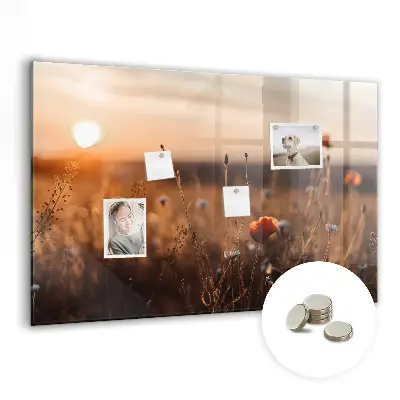 Magnetic glass dry erase board with Field sunrise design