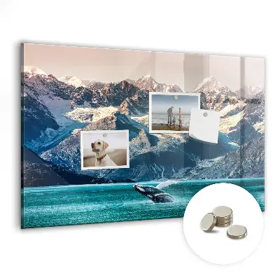 Whale shaped magnetic wall board