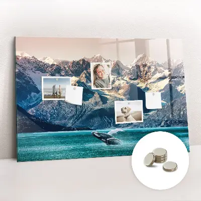 Whale shaped magnetic wall board
