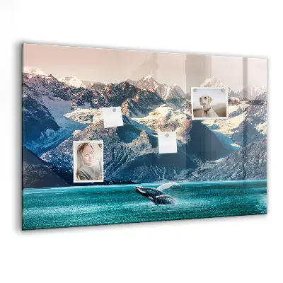 Whale shaped magnetic wall board