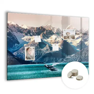 Whale shaped magnetic wall board
