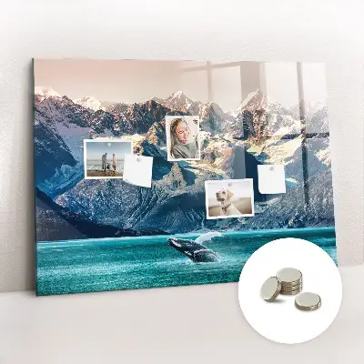 Whale shaped magnetic wall board
