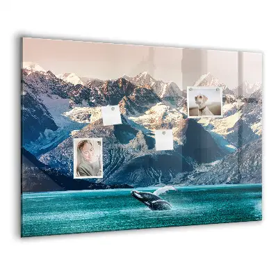 Whale shaped magnetic wall board