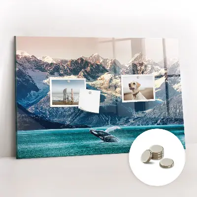 Whale shaped magnetic wall board