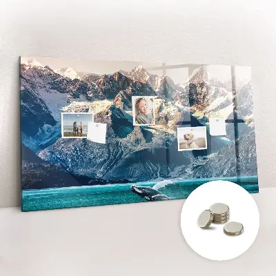 Whale shaped magnetic wall board