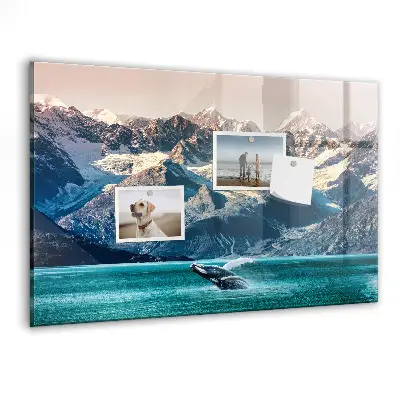 Whale shaped magnetic wall board