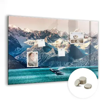 Whale shaped magnetic wall board