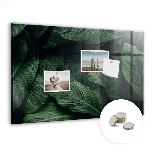Tropical Monstera Magnet Board
