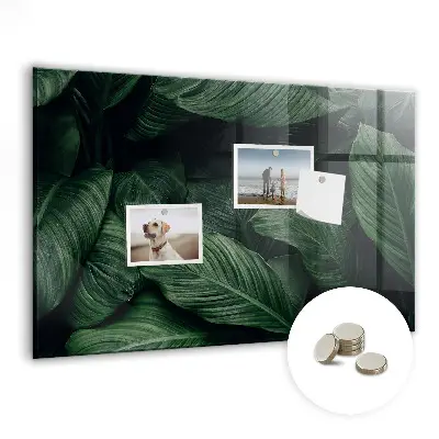 Tropical Monstera Magnet Board