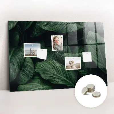 Tropical Monstera Magnet Board