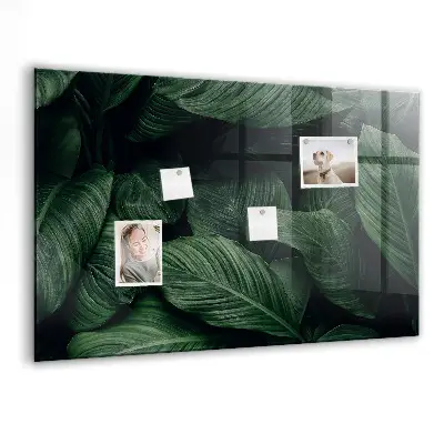 Tropical Monstera Magnet Board