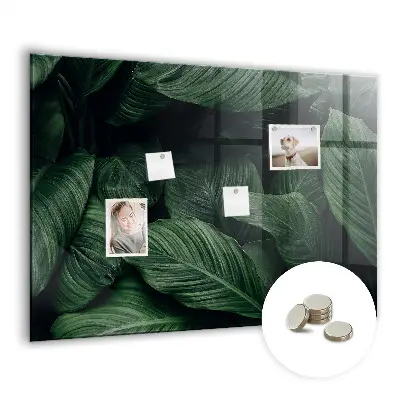 Tropical Monstera Magnet Board