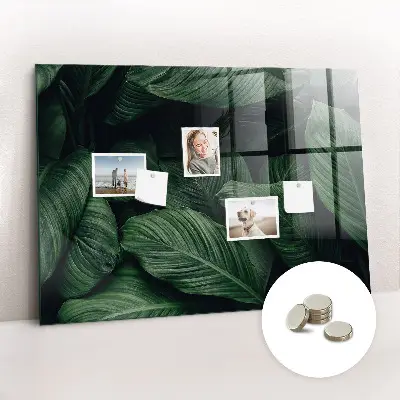 Tropical Monstera Magnet Board
