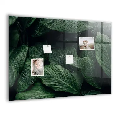 Tropical Monstera Magnet Board