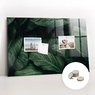 Tropical Monstera Magnet Board
