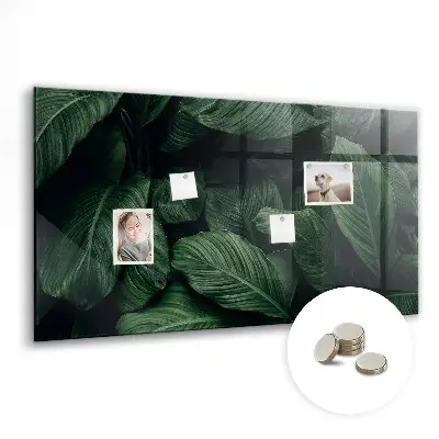 Tropical Monstera Magnet Board