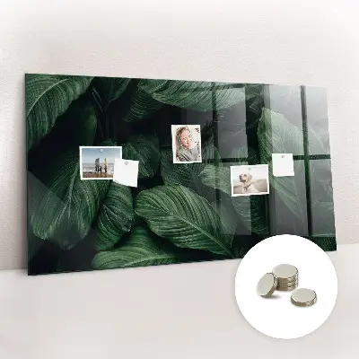 Tropical Monstera Magnet Board