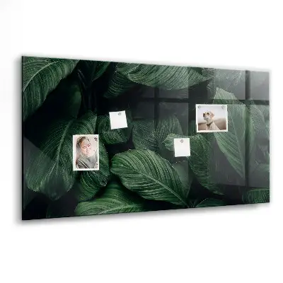 Tropical Monstera Magnet Board