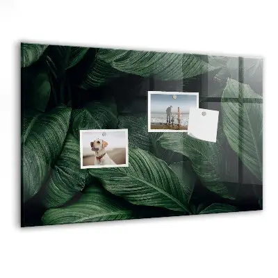 Tropical Monstera Magnet Board