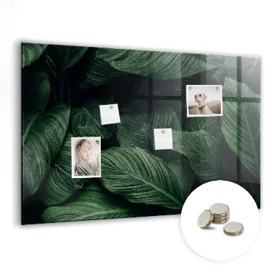Tropical Monstera Magnet Board