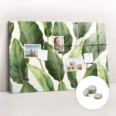 Palm leaves magnetic board