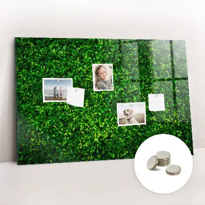 Hedge leaves magnetic board