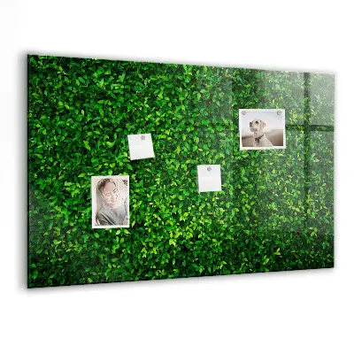 Hedge leaves magnetic board