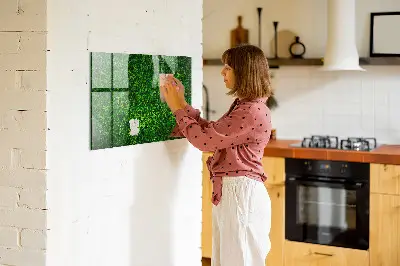 Hedge leaves magnetic board