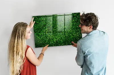 Hedge leaves magnetic board