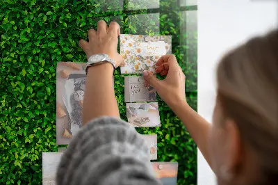 Hedge leaves magnetic board