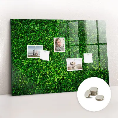 Hedge leaves magnetic board