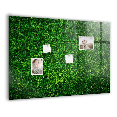 Hedge leaves magnetic board