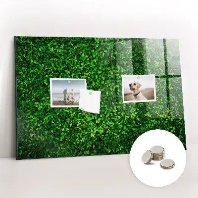 Hedge leaves magnetic board