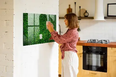 Hedge leaves magnetic board