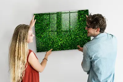 Hedge leaves magnetic board