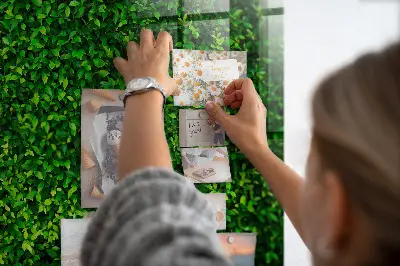 Hedge leaves magnetic board