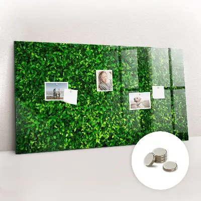 Hedge leaves magnetic board