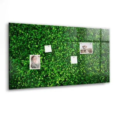 Hedge leaves magnetic board