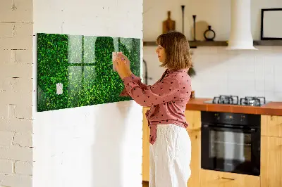 Hedge leaves magnetic board