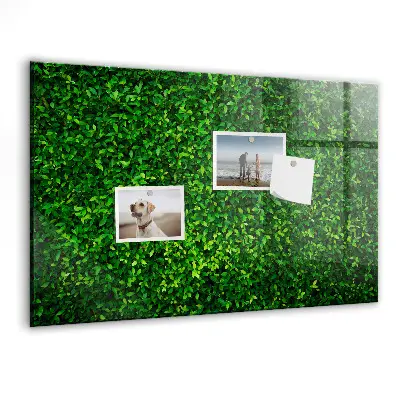 Hedge leaves magnetic board