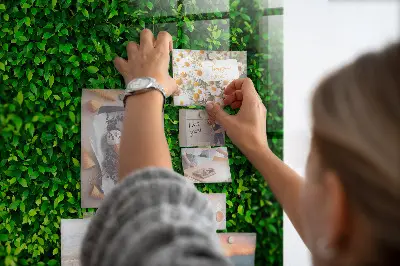 Hedge leaves magnetic board