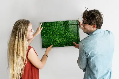 Hedge leaves magnetic board
