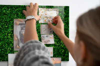 Hedge leaves magnetic board
