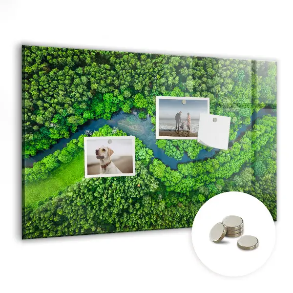 River in the forest magnetic board