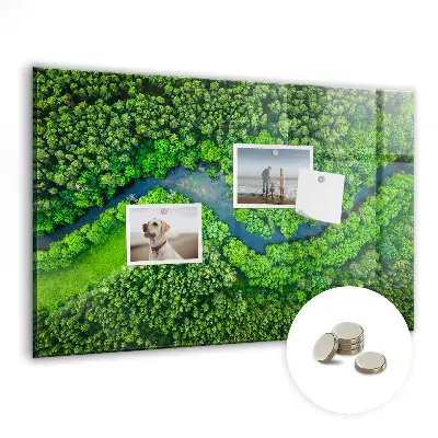 River in the forest magnetic board