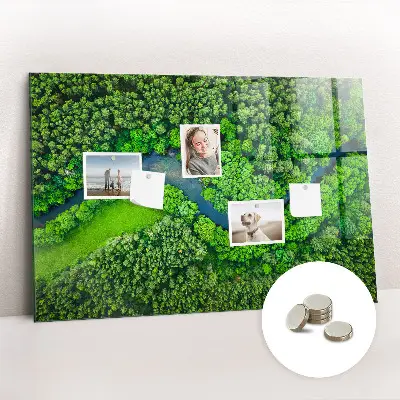 River in the forest magnetic board