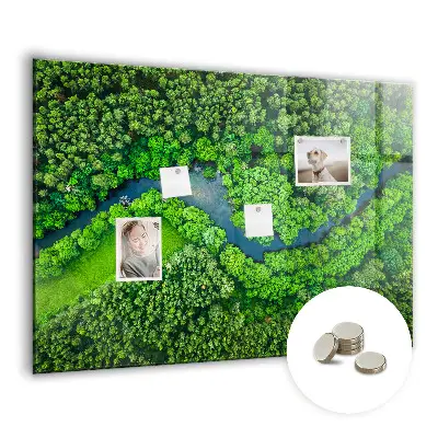 River in the forest magnetic board