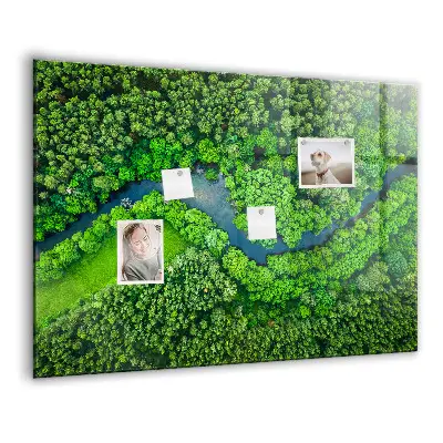River in the forest magnetic board