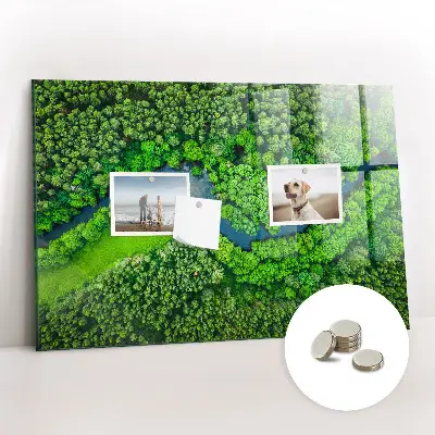 River in the forest magnetic board