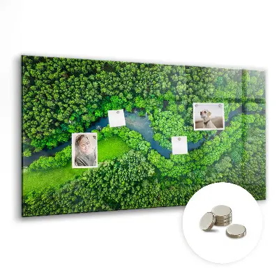 River in the forest magnetic board